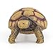 European Tortoise Wildlife Animal Model Figure Garden Ornament Education Cognitive Toy for Boys Girls Kids