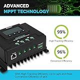 Zoom IMG-1 renogy regolatore di carica solare Zoom IMG-1 renogy regolatore di carica solare