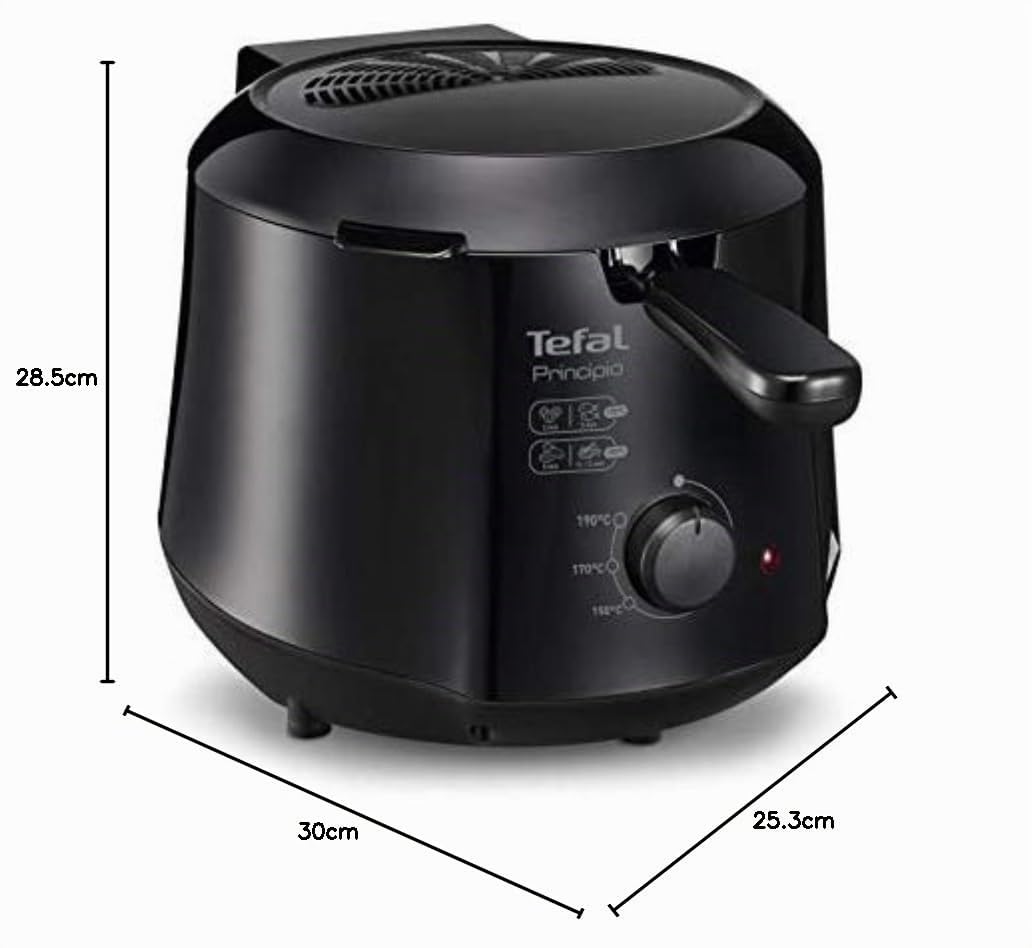 TEFAL FF230831 PRINCIPIO 1.2 L Friteuse électrique compacte