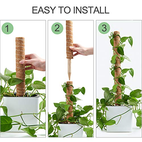 Joyhalo Moss Pole- 15.7 Inch Moss Stick For Potted Plants, 4 Pcs Plant Support For Climbing Plants Monstera, Coir Totem Pole #TOP5