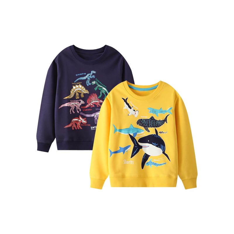 2 Pack 2t-7t Toddler Boys Sweatshirts,Long Sleeve Boys Fashion Tops,Cartoon Toddler Fall Outfits,Toddler Sweater
