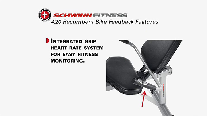 Schwinn A20 Recumbent Exercise Bike (2011)
