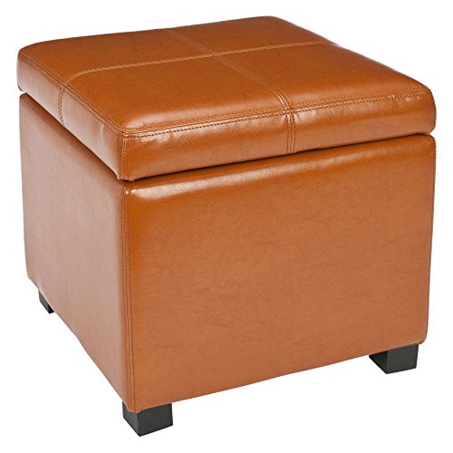 Safavieh Hudson Collection Williamsburg Brown Leather Square Storage Ottoman