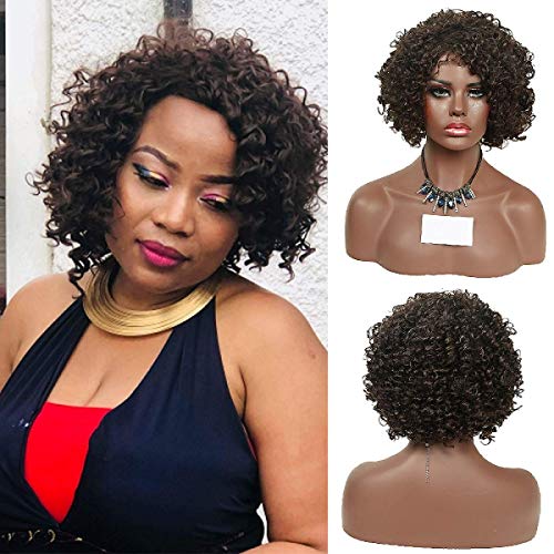 Brown Kinky Curly Wig Afro Short Curly Wigs for Black Women Ombre Wigs Costume Cosplay Wigs High Temperature Heat Resistant 220g 10 Inch