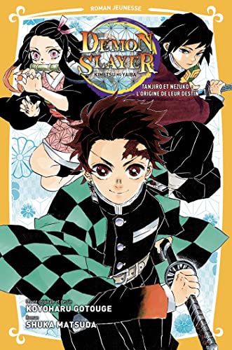 Demon Slayer : Roman jeunesse
