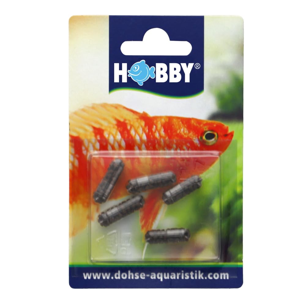 Hobby Planaria