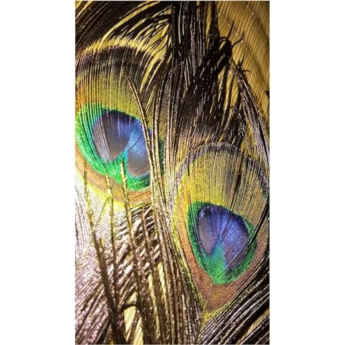 Affiches impressions peintures murales plumes art abstrait premium