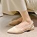 zapato planos con puntera puntiaguda para mujer Imagen de zapato planos con puntera puntiaguda para mujer