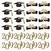 Produktbild YeahiBaby 48 Stücke Abschluss Kuchen Topper Glitzer Cupcake Picks Deko Kuchendeckel Tortenstecker Kuchendekoration für Graduierung Party Dekoration (2019 Anzahl, Doktorhut, Diplom)