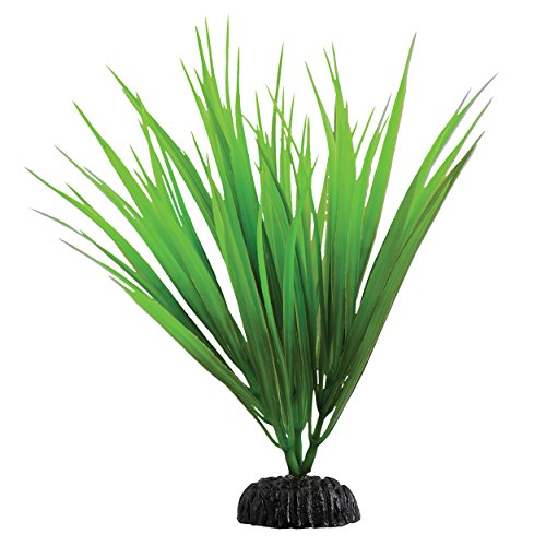 Underwater Treasures Green Nile Grass - 7.5