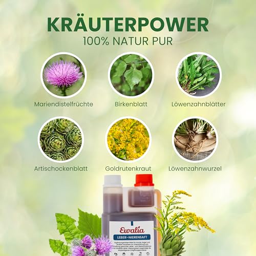 EWALIA Leber-Nierensaft | 500 ml | Ergänzungsfuttermittel für Hund & andere Haustiere | Mit Mariendistel