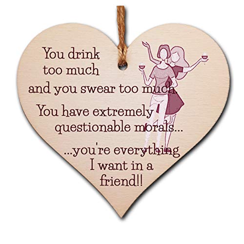 The Plum Penguin Handmade Wooden Hanging Heart Plaque Gift You're everything I want in a friend novelty alcohol funny window wall hanger absent friends friendship keepsake