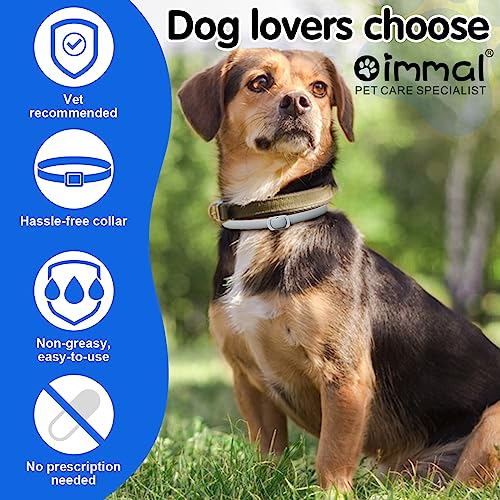 Collare Antipulci Cane,Collare Antiparassitario