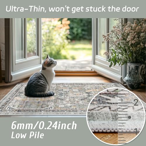 Madane Washable Area Rug 2x3, Small Entryway Rug Non-Slip Vintage Door Mat Indoor Entrance, Low Pile Floor Carpet for Inside Front Door Bedroom Kitchen Entry Laundry (2'x3', Green/Gold)