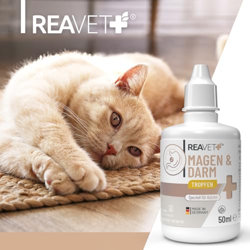 ReaVET Magen & Darm Tropfen Liquid für Katzen 50ml - sekundierend bei Durchfall oder Blähungen, natürliche Darmregulierung, Darmsanierung Katze, unterstützt die Darmflora