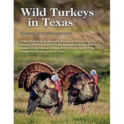 Wild Turkeys in Texas