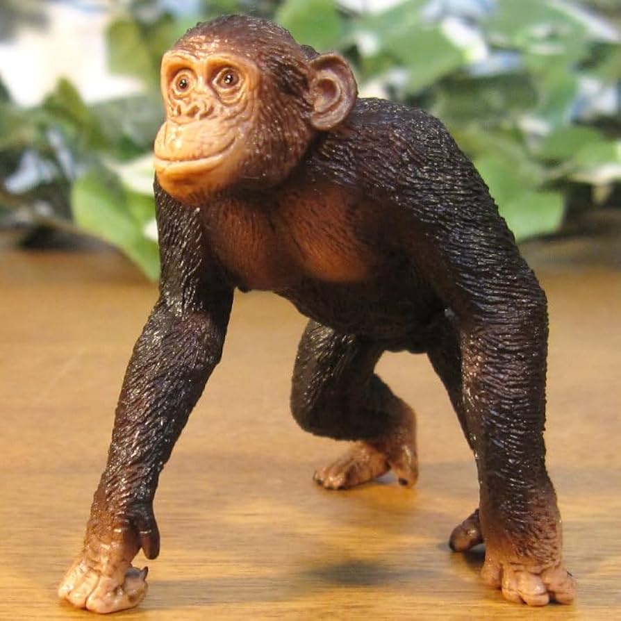 Amazon.co.jp: ゴリラ チンパンジー 2点セット リアル 猿