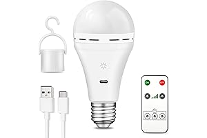 Remote Control Rechargeable Light Bulb with 2600mAh Battery