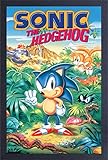 Pyramid America Sonic Poster - Sonic 3-11 x 17 Frame Poster Wall Art, Ideal for Home Decor, Kitchen Decor, Gaming Decor, Room Decor & Living Room Decor