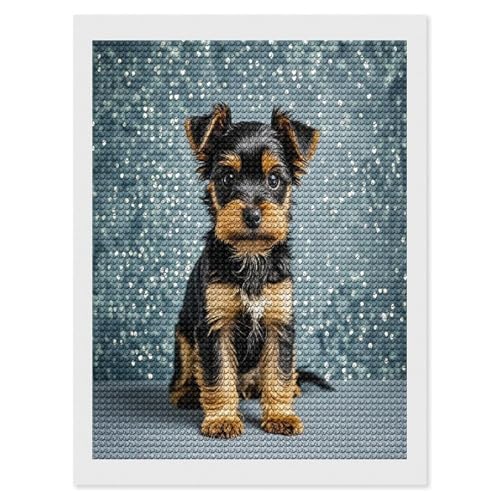 Pintura de diamantes de Yorkie negro: arte relajante DIY para decorar tu hogar
