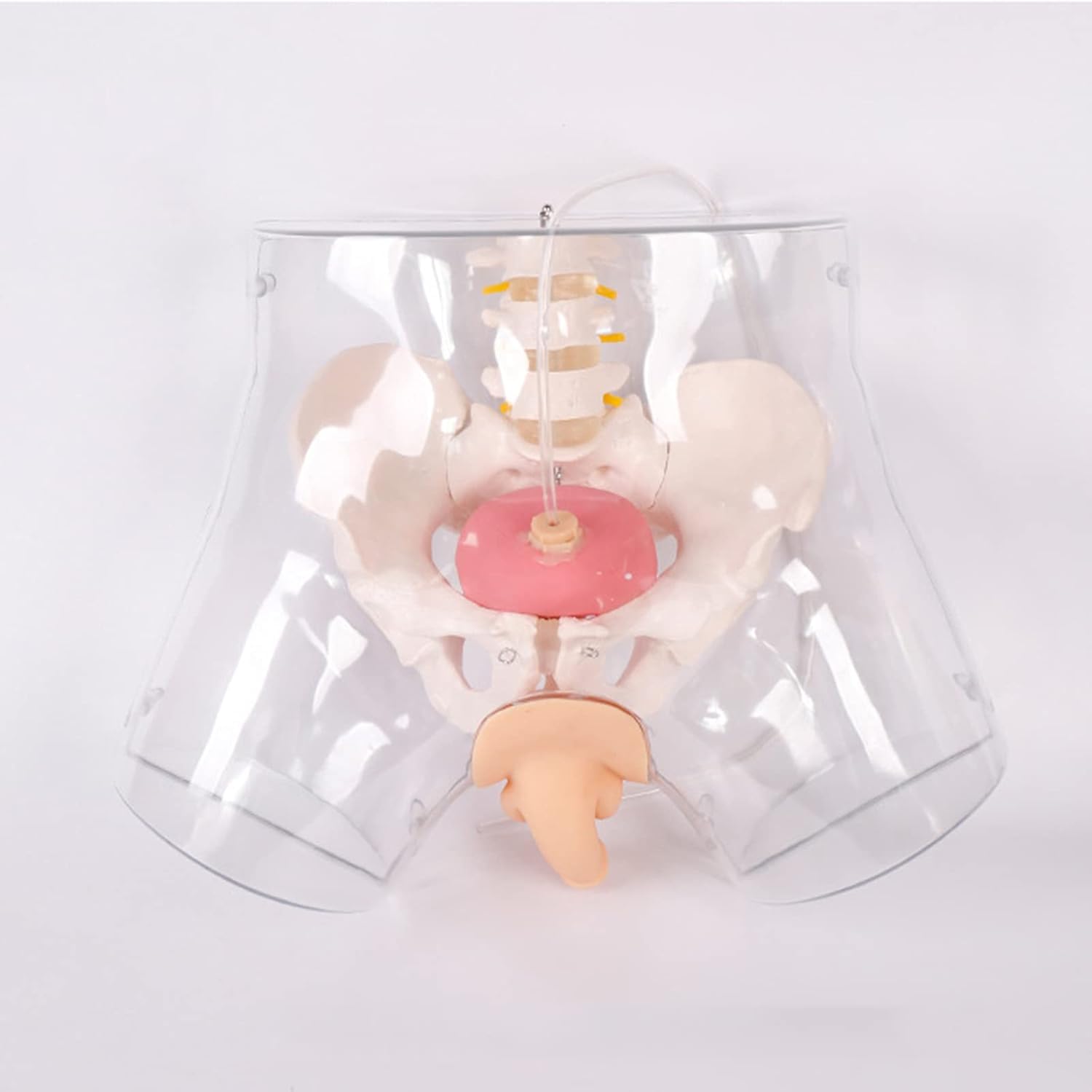 Modèle De Cathétérisme Masculin, Modèle D'enseignement Du Mannequin, Modèle De Cathétérisme Urétral Masculin Transparent, Sensation Réelle, Pour La Pratique Intuitive Du Cathétérisme Des Médecins