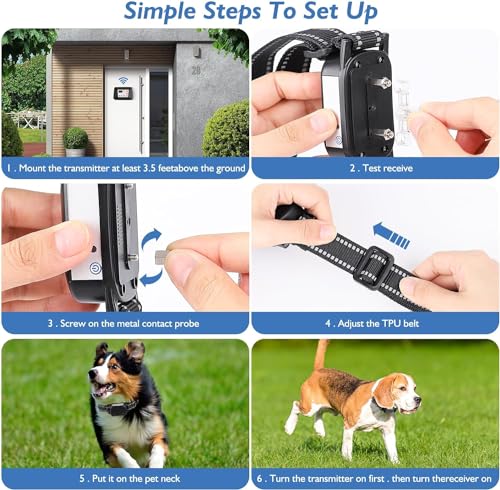 Training Dogs with Wireless Fence
