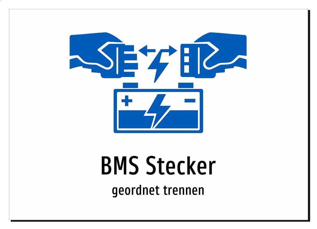 37235-DE-S-09 | BMS Stecker - geordnet trennen
