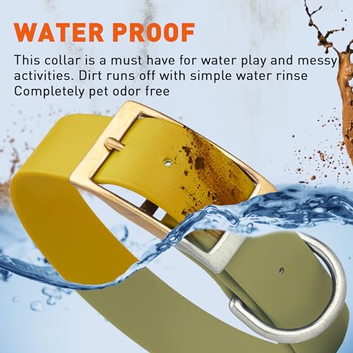 Image of Viper Biothane Heavy Duty Waterproof Dog Collar Strong Coated Nylon Webbing w /Solid Brass Hardware Odor-Proof Easy to Clean High Performance Fits Small Medium or Large Dogs, Treasure Gold