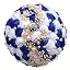 W322g23 Royal Blue/White