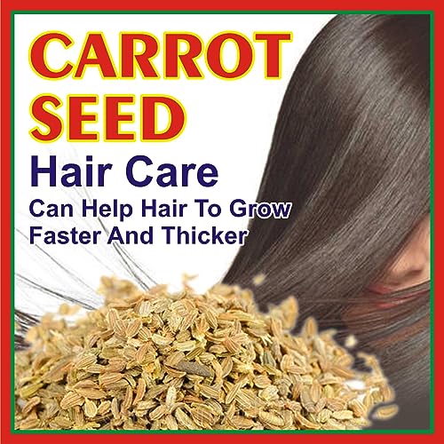 Image of Edible Carrot Seed | गाजर के बीज | Gajar K Beej For Home Planting Gardening Eating (1)