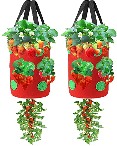 Miewslan 2 Packs Upside Down Planter Garden Hanging Strawberry Tomato Grow Bag Potato Vegetable Planting Bag with Holes