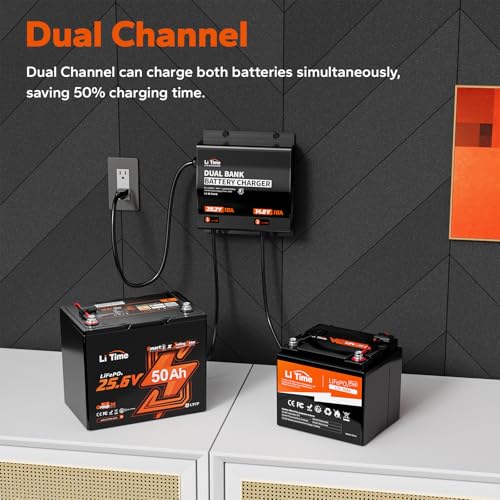 Image of LiTime 2-Bank 12V & 24V 10A Lithium Battery Charger, IP65 Waterproof, AC-DC