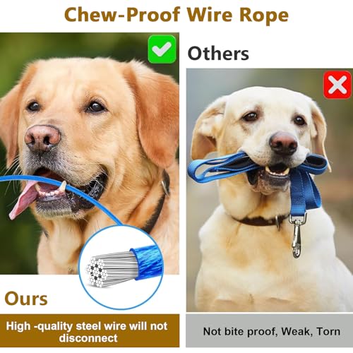 ChAusa 2 Stück Anschnallgurt Hund Auto 80cm Hunde Sicherheitsgurt Hundegurt Auto Hunde Anschnallgurt Auto Bissfeste Hundeleine aus Stahldraht PVC für alle Hunderassen Katzen& Autotypen(Blau+Rot)