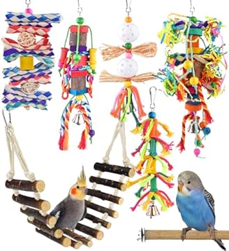 best bird perches for mynah birds that will surprise you 2 best bird perches for mynah birds