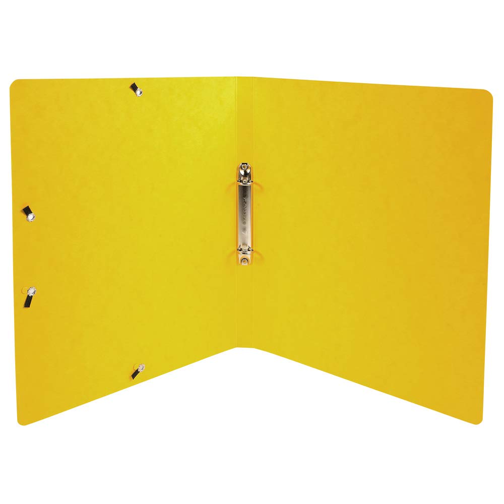 Exacompta - 54829E - Conf. da 20 Raccoglitori in Cartoncino Lustré Lucido 600 g/mq Iderama - Chiusura con Elastici Angolari - 2 Anelli Tondi 15 mm - F.to Esterno 25x32 cm per A4 - 10 Col. Assortiti