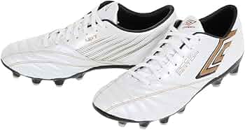 51oHcwYA65L._AC_UF350,