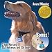 Dog Collar Light- PupLight + FREE Travel Dog Bowls- Best LED Saftey Reflective Dog Collar One Size Fits All Bright Durable LED Light Pet Collar- High Visibility Accessories Reflective Gear