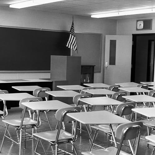 An American Education | 2. Testing Teachers for 'Wokeness' Podcast Por arte de portada