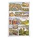 Price comparison product image Emma Ball Designs YORKSHIRE 100% Cotton Tea Towel Made in the UK
