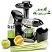 GREEN-PRESS KERAMIK Horizontaler Slow Juicer mit Keramik Pressschnecke BPA-frei | Sellerie, Selleriesaft, Weizengras, Kräuter Grüne Detox Säfte | Allround Entsafter elektrisch