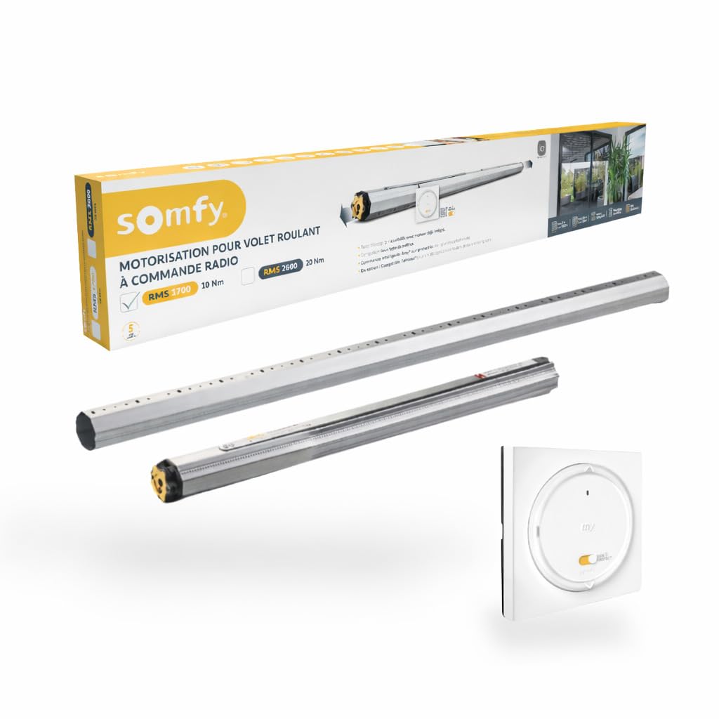 Somfy 1245874 Kit de Motorisation pour Volet Roulant pour Fenêtre RMS 1700 Radio IO - Compatible avec Volets rénovation, Tunnel, Bloc-​Baie – Télécommande Amy Incluse – Compatible Tahoma