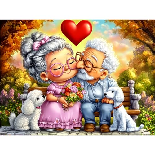 TOSTOG Diamond Painting Kit Completo,Pareja De Ancianos DIY Diamante Cristal Bordado Punto de Cruz Painting Pinturas para Adultos Decoración Pared Hogar 30x40cm