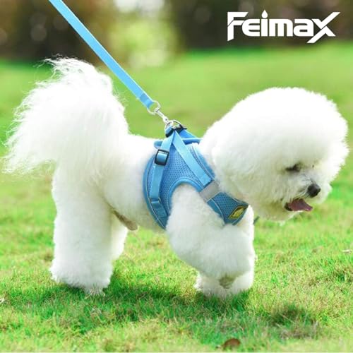Image of FEimaX Dog Harness and Leash Set Puppy and Kitten Vest Reflective for Safe