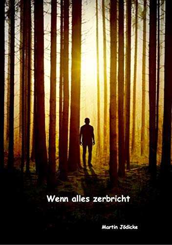 Wenn Alles Zerbricht Von Einem Der Niemals Aufgab Und Zuruck Ins Leben Fand Ebook Jodicke Martin Amazon De Kindle Shop