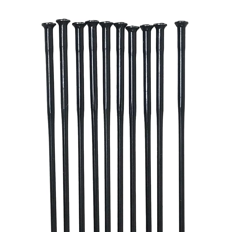 Rayon vélo 10 pièces pour montage de roue et rénovation de bicyclette