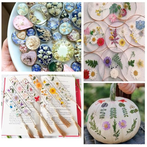 Boutihao Echte Natürliche Gepresste Blumen, 11 Arten von 32 Stück Getrockneten, Gemischte Getrocknete Blätter Gänseblümchen für DIY-Kunsthandwerk, Kerzenherstellung, Nageldekoration, Handyhüllen