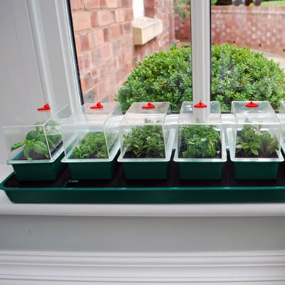 Super 7 Self Watering Propagator