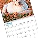 2020 Yellow Lab Puppies Wall Calendar by Bright Day Calendars 16 Month Wall Calendar 12 x 12 Inches
