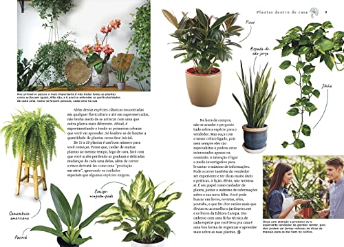 Urban Jungle - Plantas Dentro de Casa - Raquel Patro