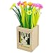 12 packs of Easyinsmile gel ink Black Pens for Student and Office with Different Shape (Narcissus Flower Shape)